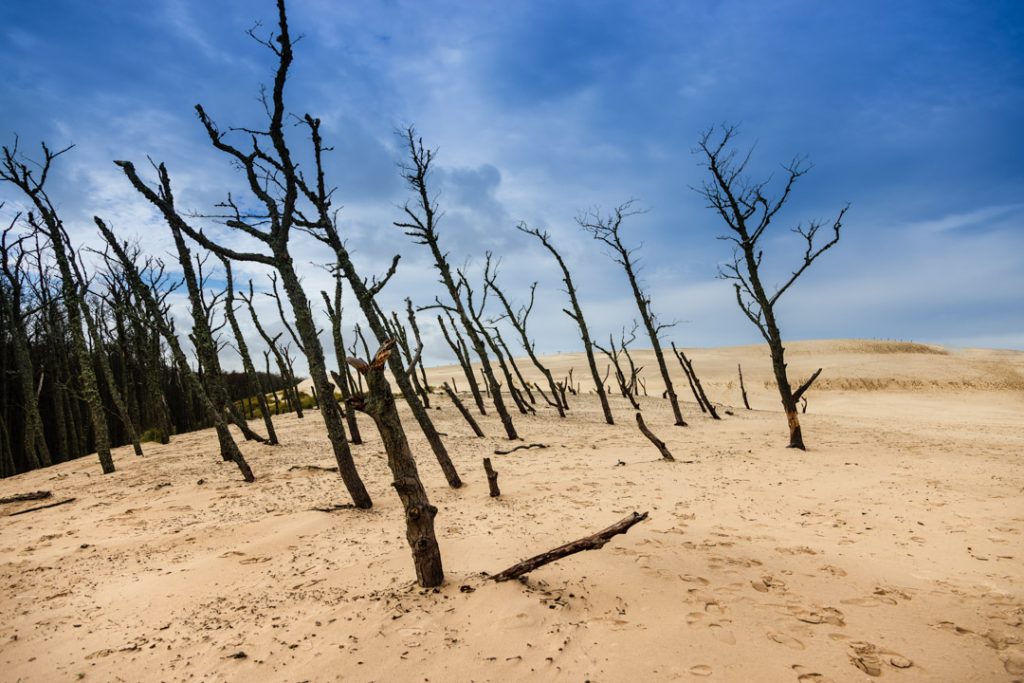 Slowinski National Park