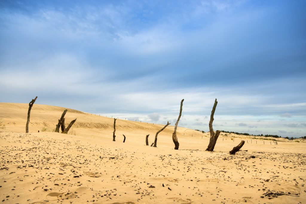 Slowinski National Park