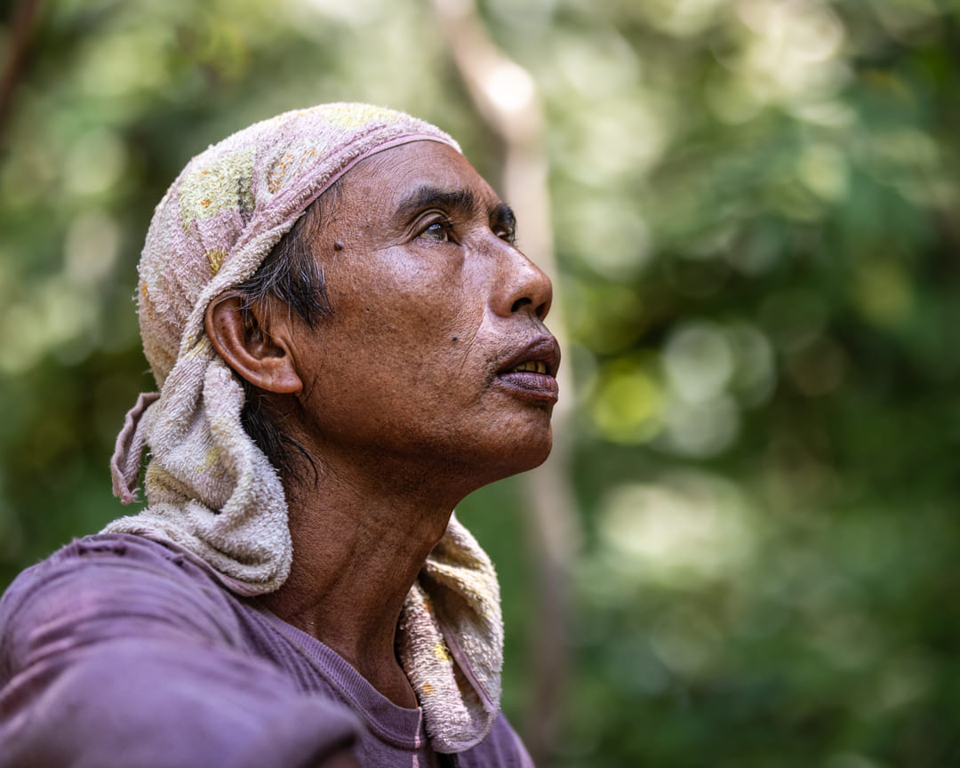 Jungle man Sumatra