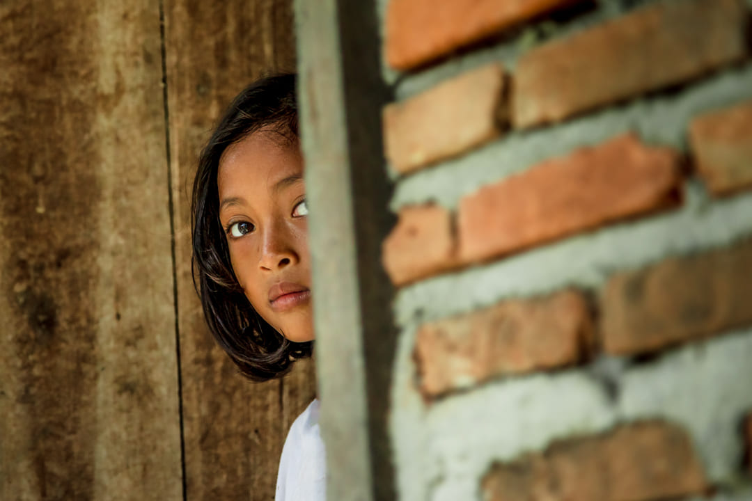 Shyness and curiosity Sumatra