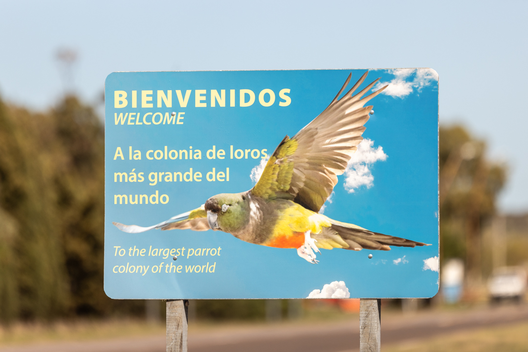 Welcome loro barranquero