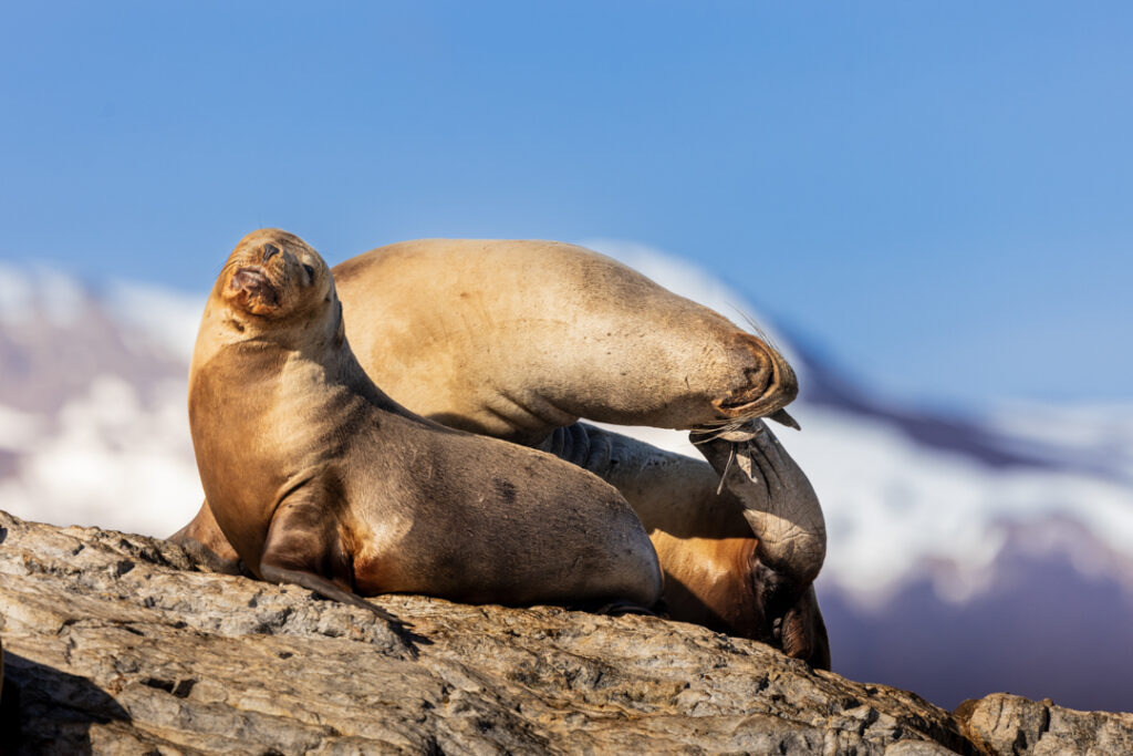 Chilling on the rocks
