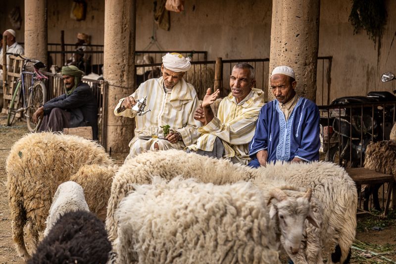 Foto Marocco COD MAR024
