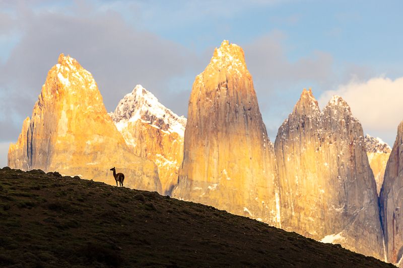 Foto Patagonia COD PAT014