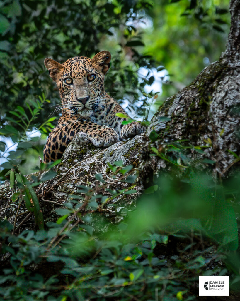 Foto sri lanka 2026 037