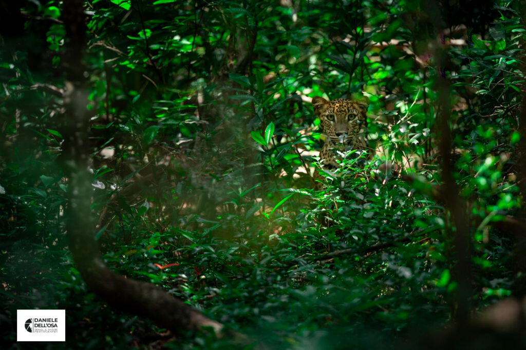 Foto sri lanka 2026 064