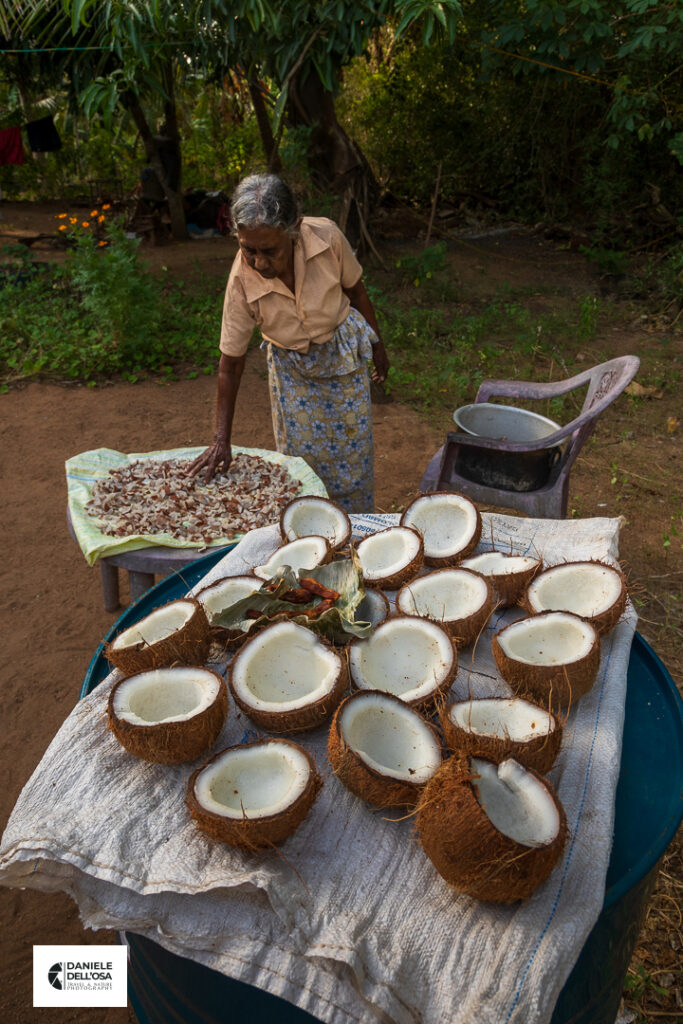 Foto sri lanka 2026 088