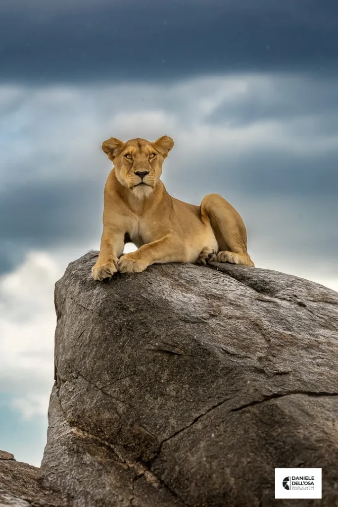 Foto tanzania cod tzn001