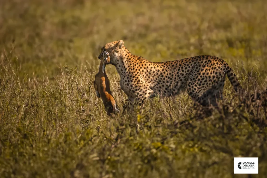 Foto tanzania cod tzn005