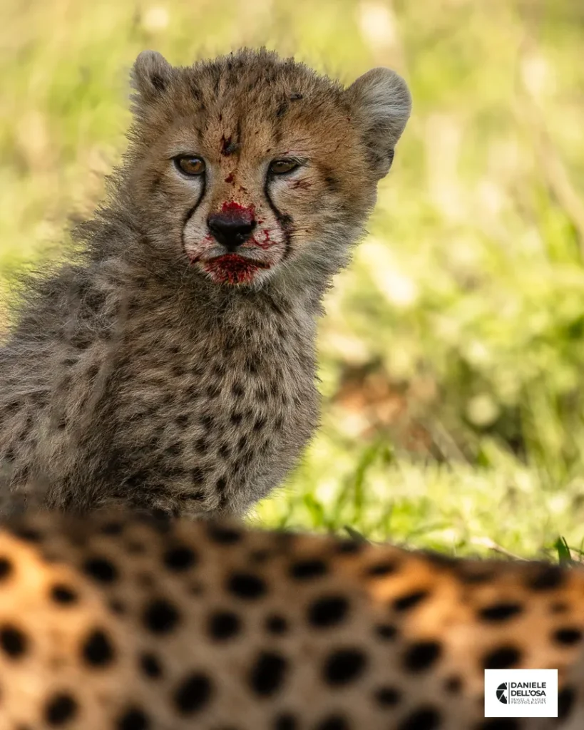 Foto tanzania cod tzn008