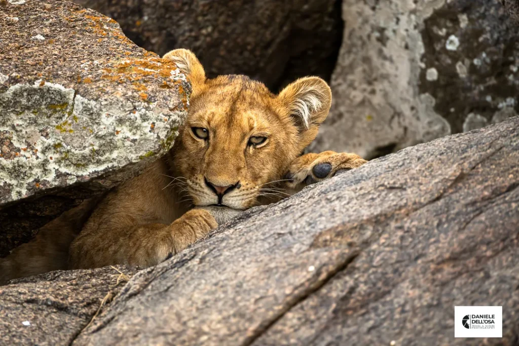 Foto tanzania cod tzn009