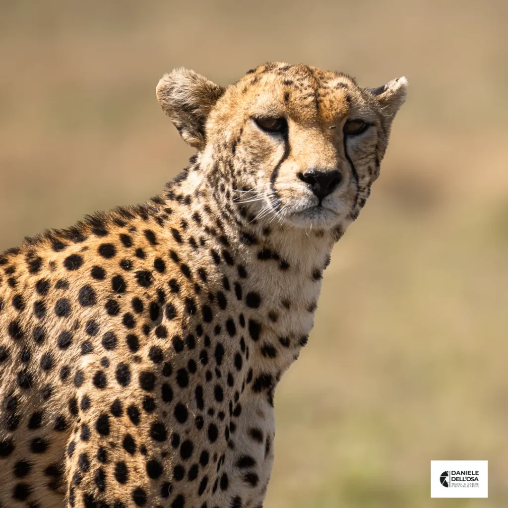 Foto tanzania cod tzn023