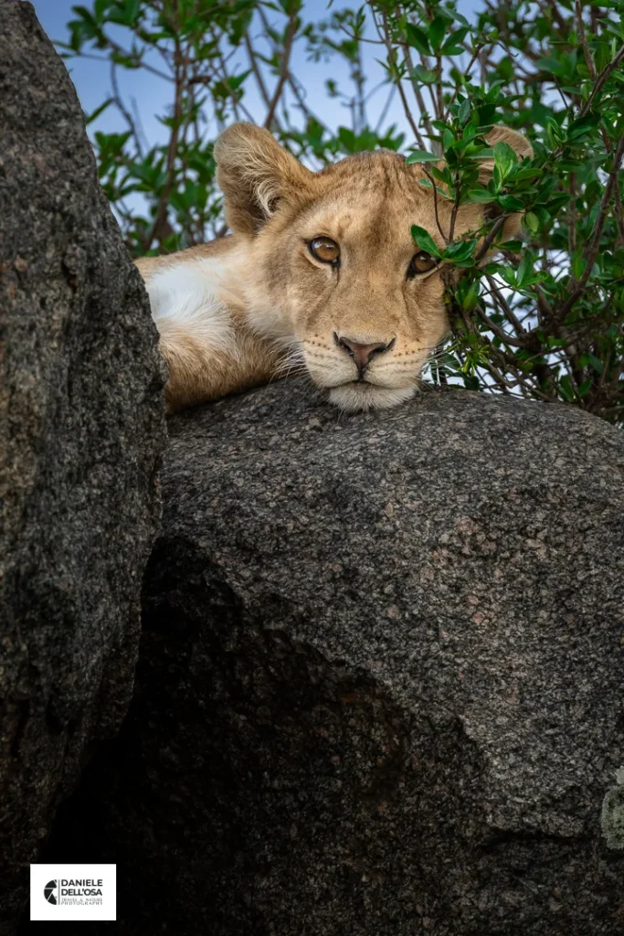 Foto tanzania cod tzn028