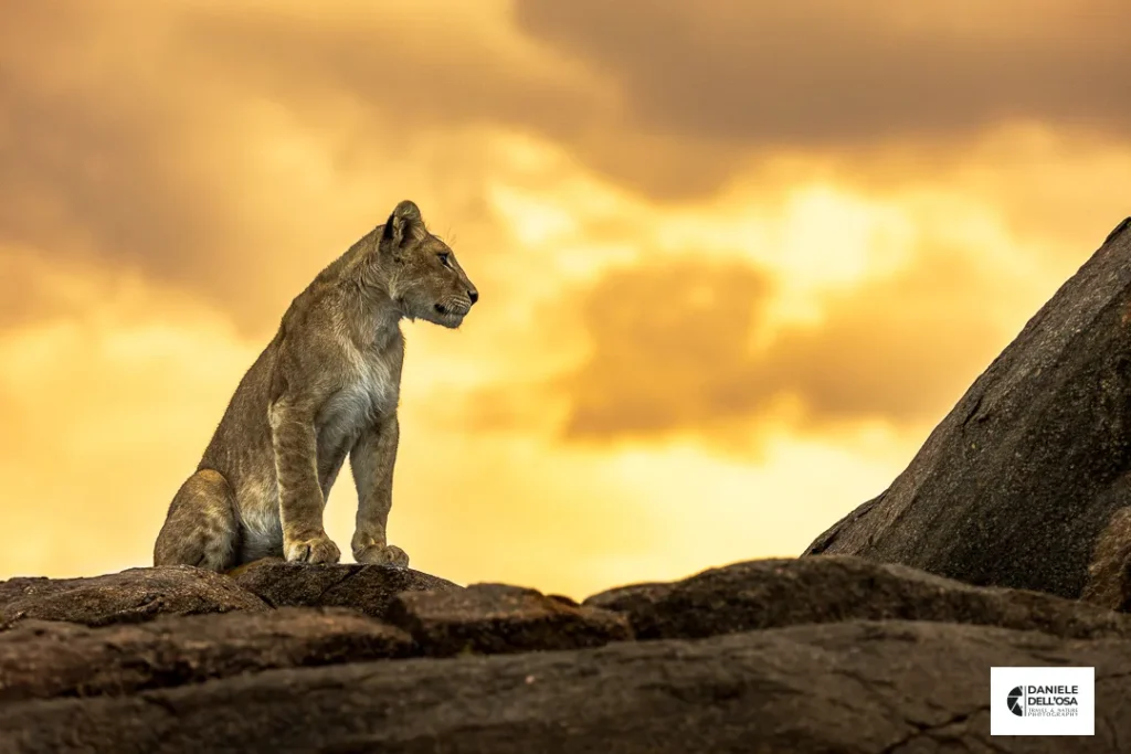 Foto tanzania cod tzn032