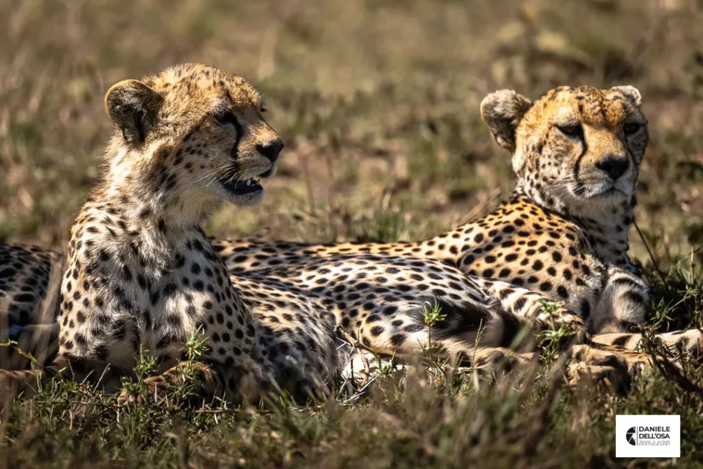 Foto tanzania cod tzn034