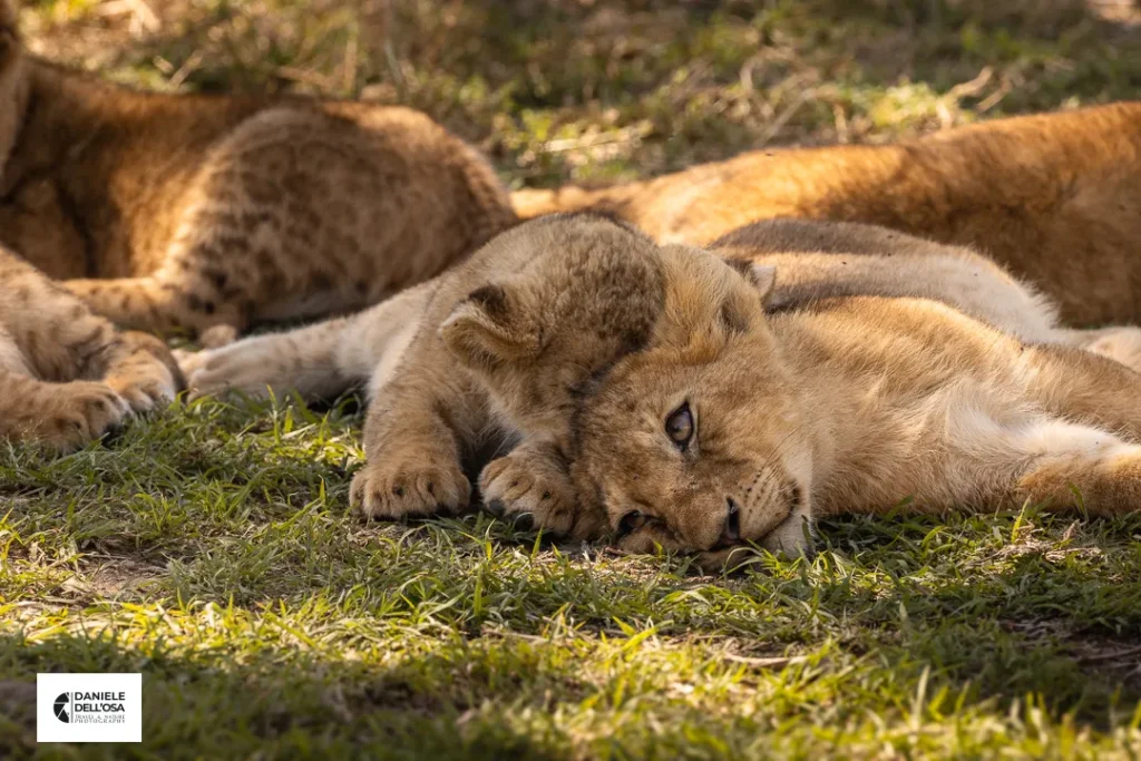 Foto tanzania cod tzn039