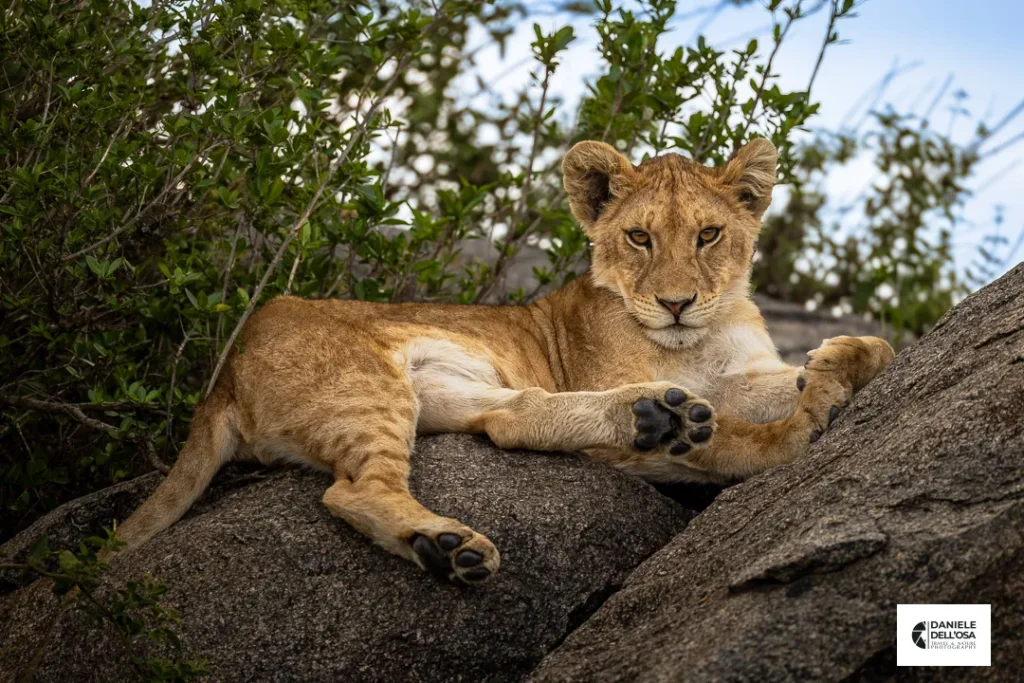 Foto tanzania cod tzn044