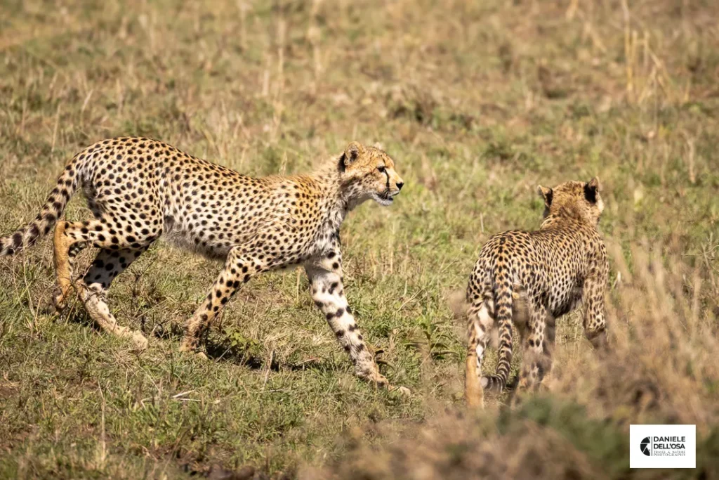 Foto tanzania cod tzn057