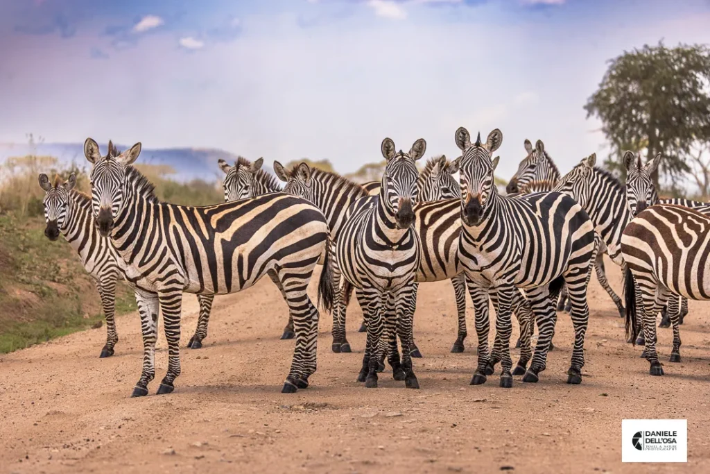 Foto tanzania cod tzn067