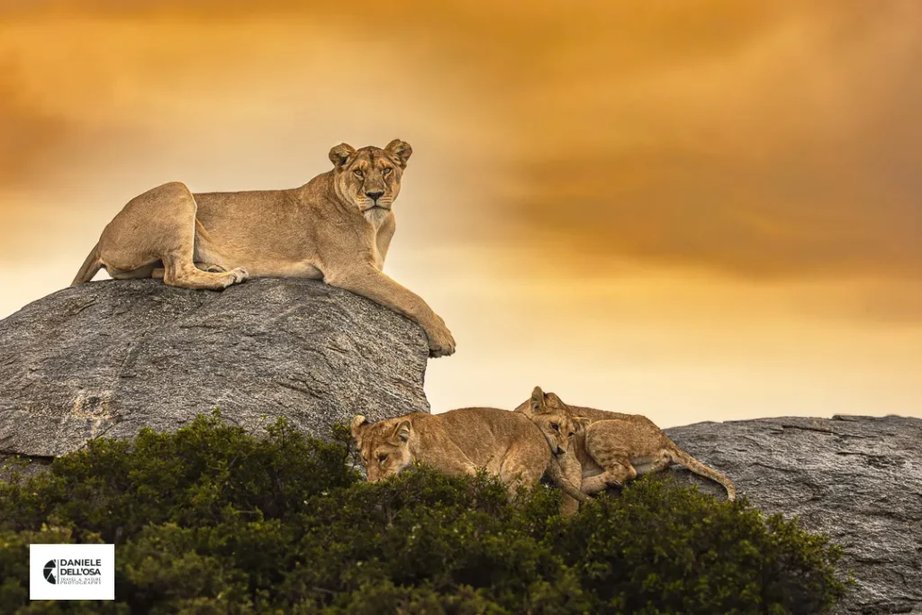 Foto Tanzania cod tzn129