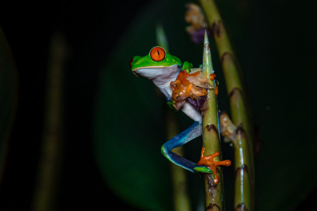 Funny poses