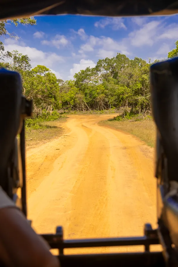 Jeep trekking minneriya