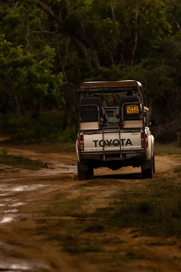 Jeep trekking parco nazionale minneriya