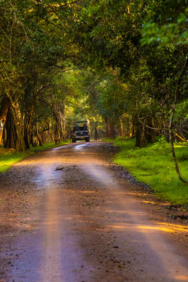 Jeep trekking workshop sri lanka