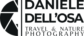 Daniele Dell'Osa