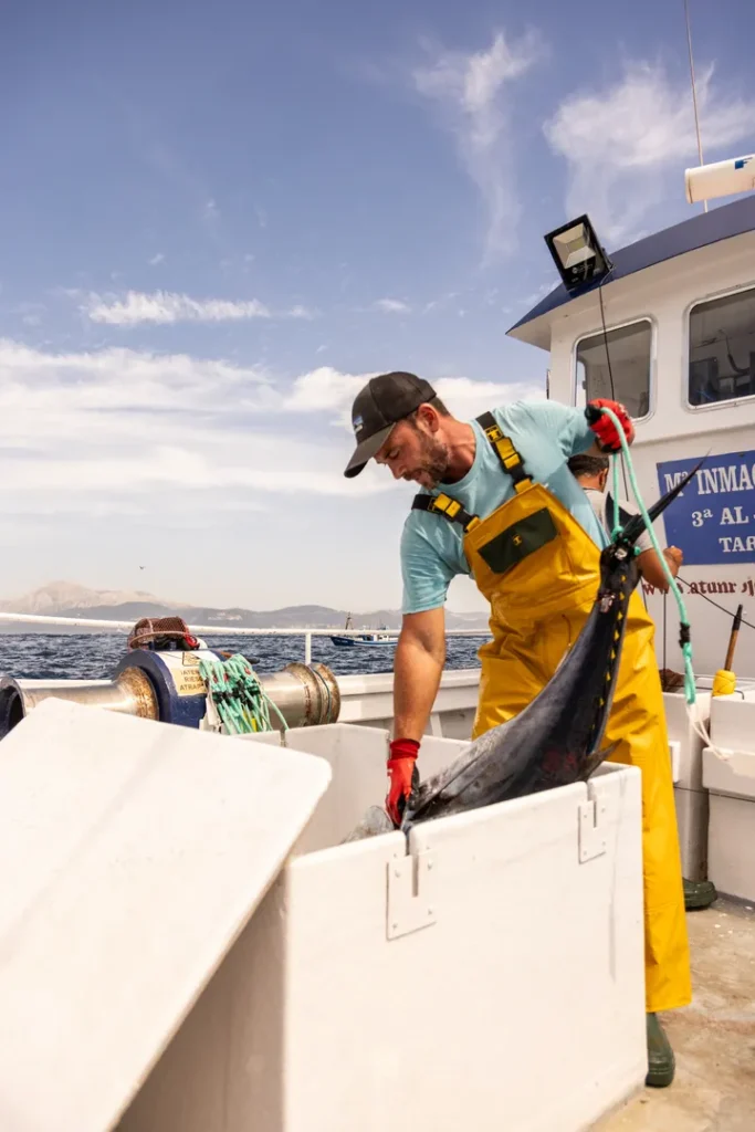 Tonnare spagnole tarifa pesca tonno